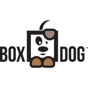 boxdog-3